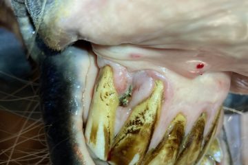 FallderWoche3-scaled